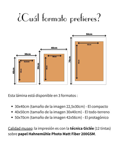 Detalle de los formatos de láminas The Madrileñer